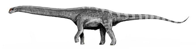 Argentinosaurus