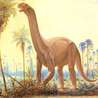 Camarasaurus