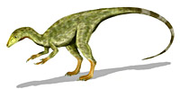 Compsognathus