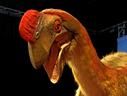 Oviraptor