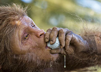 Toumai dans le documentaire Premier Homme