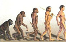 Evolution de l'homme