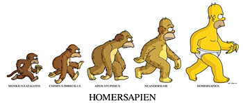 Evolution de l'homme par Omer Simpson