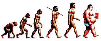 Evolution de l'homme vers l'obésité...