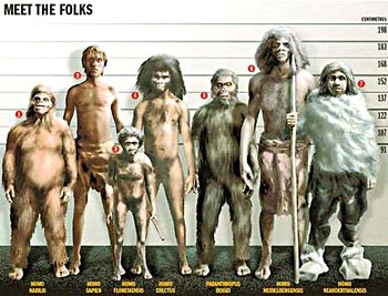 Meet the folk - Evolution de l'homme