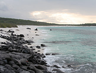 Isla Espagnola - Bahia Garden