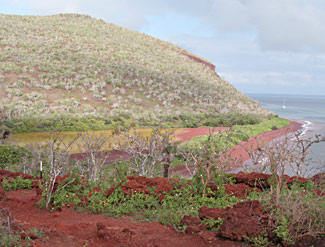 Ile de Rabida