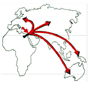 Flux génétique il y a 100 000 ans