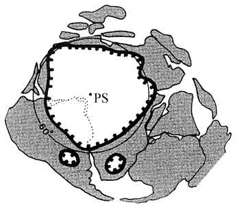 Extension probable de l'inlandsis sur le Gondwana 