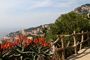 Jardin exotique Monaco