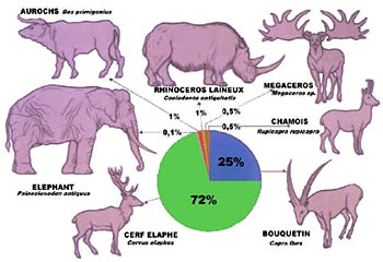 Composition de la faune trouvée dans la grotte du Lazaret