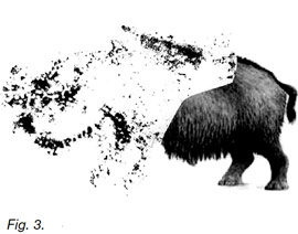 Rhinocéros reconstitué à Villars