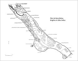 Plan de Bara-Bahau