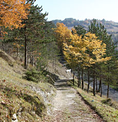 Vue de Bara-Bahau sur la plaine