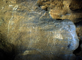 Mammouth gravé dans la grotte de Bernifal