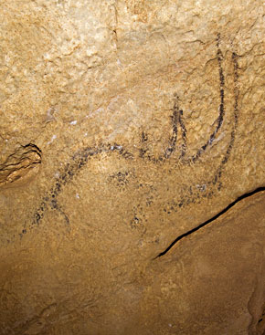 Rhinoceros de la grotte de Coliboaia