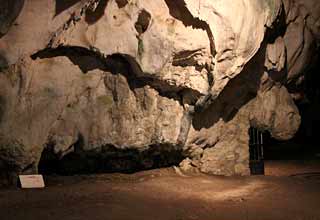 La Vache à l'entrée de la grotte