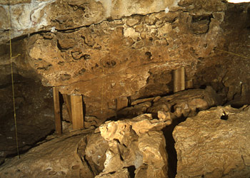 Paroi est de la grotte du Vallonnet