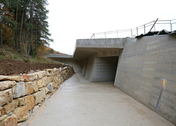 Chemin en descente vers la grotte de Lascaux 4