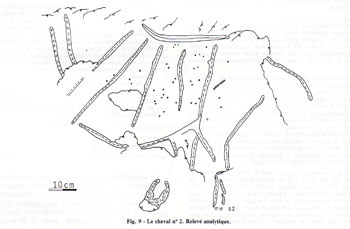 Relevé Delluc du cheval Acéphale