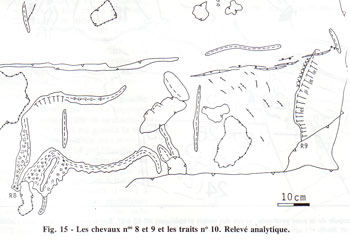 Chevaux 8 et 9 - relevés delluc