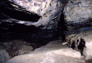 Grotte de Saint-Cirq - Fond de la grotte