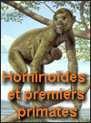 Hominoïdes