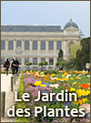 Jardin des plantes