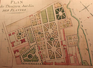 Plan de l'ancien Jardin des plantes en 1769