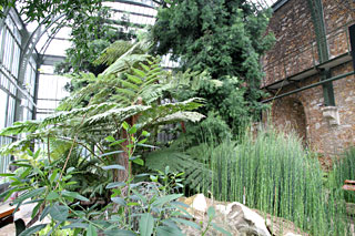 Serre Histoire des Plantes au Jardin des Plantes