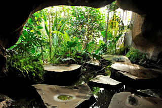 Serre tropicale - intérieur du rocher