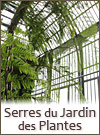 Serres au Jardin des Plantes 