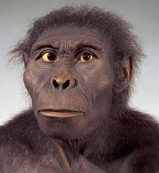 reconstitution du crâne de Keanyanthropus playtops