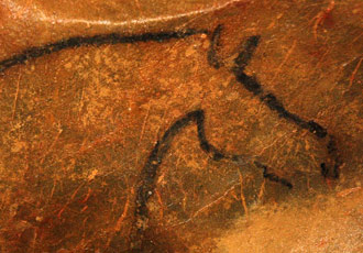 Détail cheval fond de grotte