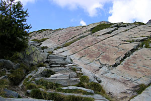 les gravures sur le mont bégo