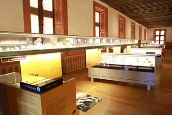 La galerie Haute du Musée du Grand-Pressigny