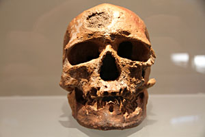 Crâne de Cro-Magnon face