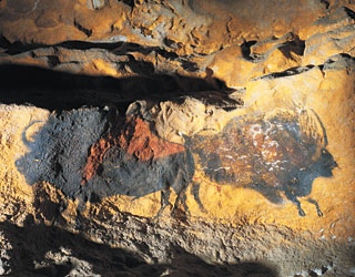 Panneau des bisons adossés de Lascaux