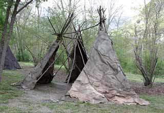 Reconstitution de l'habitat du site d'Etiolles