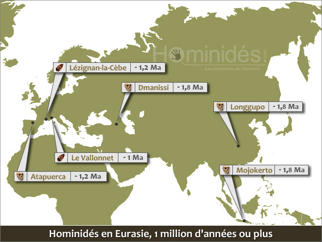 Sortie d'Afrique la première vague il y a 1 million d'années