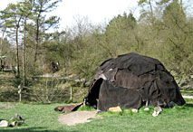 Hutte paléolithique - Reconstitution