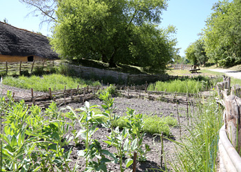 Jardin du néolithique 