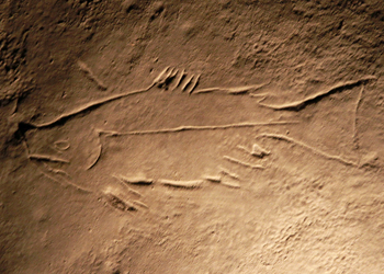 Poisson Grotte de Niaux 