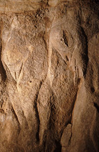 Panneau des femmes - Roc-aux-sorciers