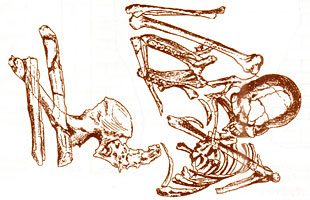 Skhul V - Sépulture