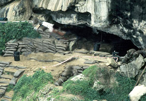 Entrée de la grotte de Blombos