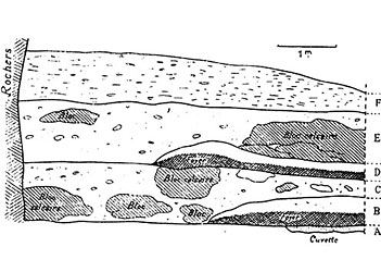 Abri Blanchard - Coupe stratigraphique 