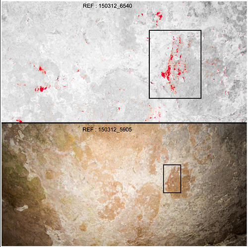 Art parietal sur les parois de l'abri cro-magnon