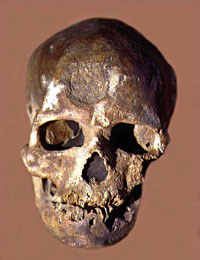 Crâne de Cro-Magnon Face