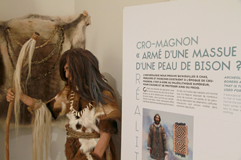 Cro-Magnon utilisait-il une massue ? 